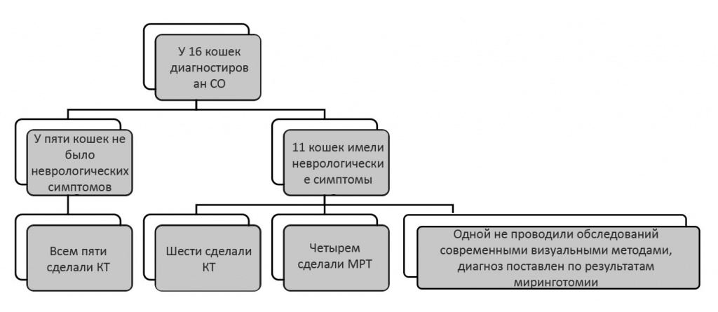 Блок-схема с краткими сведениями о методах диагностики для 16 кошек со средним отитом (СО) Блок-схема с краткими сведениями о методах диагностики для 16 кошек со средним отитом (СО)