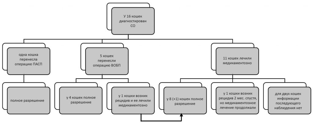 Блок-схема с кратким описанием исходов лечения 16 кошек с диагнозом среднего отита (СО). ПАСП = полная абляция слухового прохода; ВОБП = вентральная остеотомия барабанного пузыря.